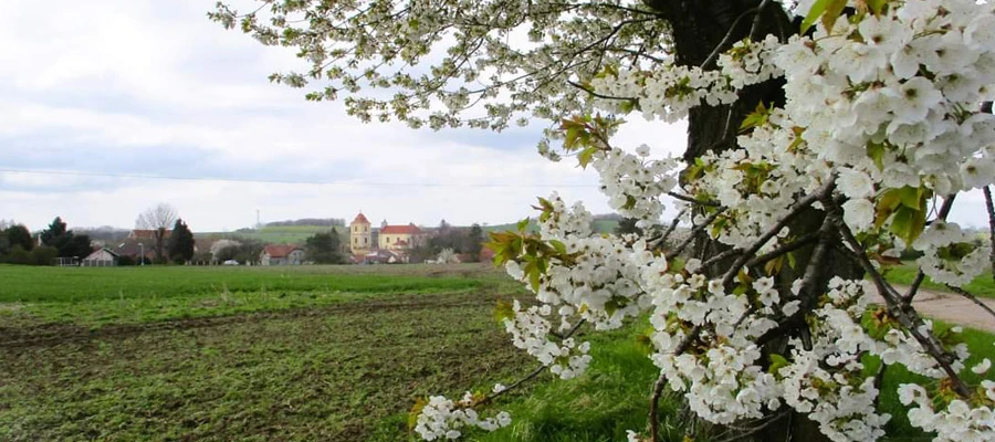Obec Vrbčany